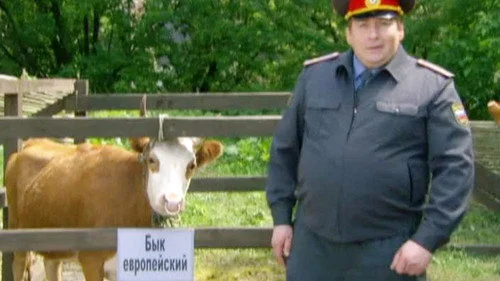 Воронины 4 сезон 2 серия
