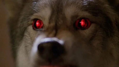 Секретные материалы 6 сезон 3 серия