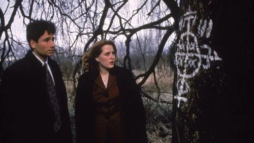 Секретные материалы 2 сезон 22 серия