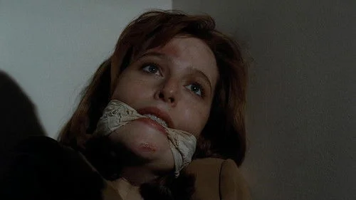 Секретные материалы 2 сезон 22 серия