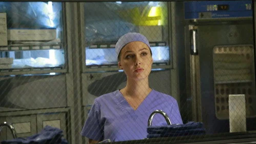 Анатомия страсти 12 сезон 2 серия