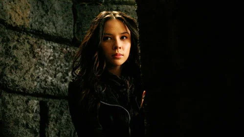 Дневники вампира 1 сезон 14 серия