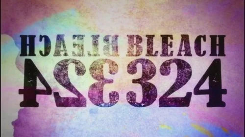 Блич 1 сезон 324 серия