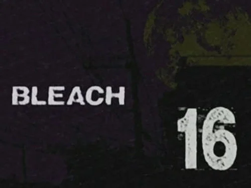 Блич 1 сезон 16 серия