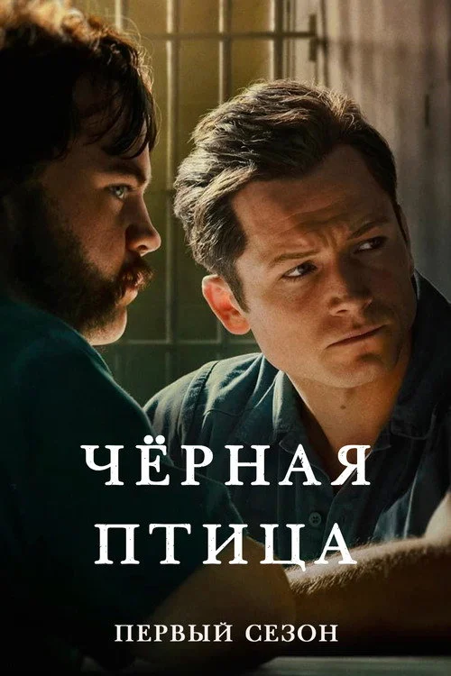 1 сезон Чёрная птица